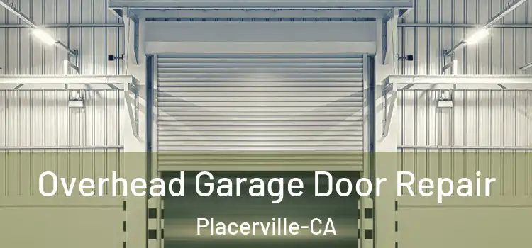 Overhead Garage Door Repair Placerville-CA