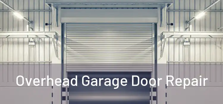  Overhead Garage Door Repair 